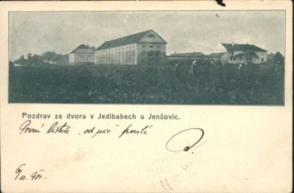Jedibadech Jedibabech Jensovic