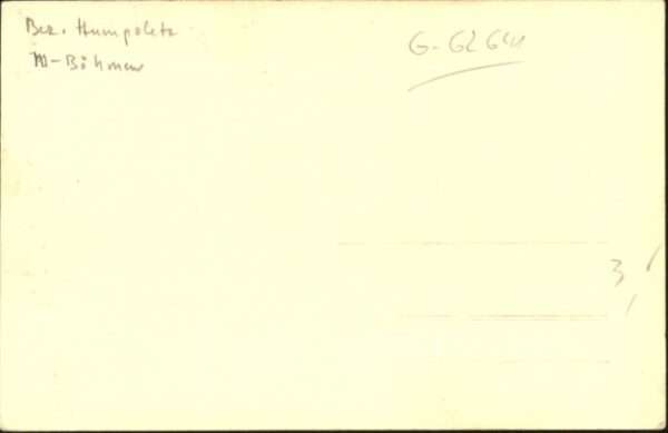 Zelvi – Bild 2
