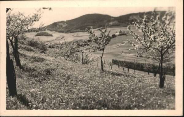 Schuettenhofen