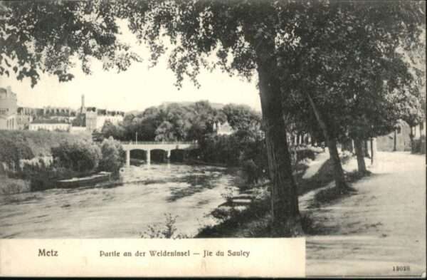 Metz  57 Moselle Metz Weideninsel Ile Saulcy