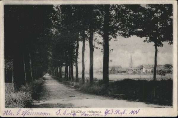 Dieuze Halbuterie