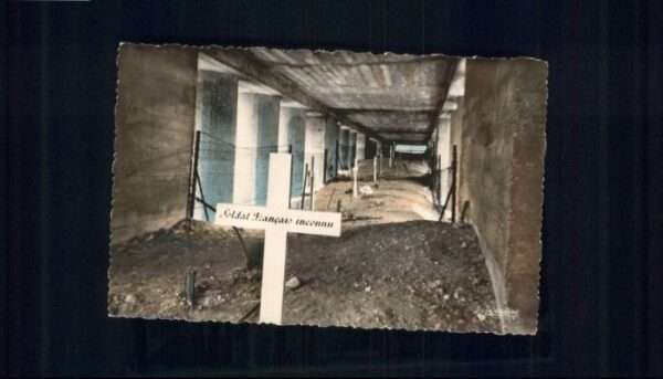 Douaumont Verdun Meuse Tranchee Baionnettes Baion