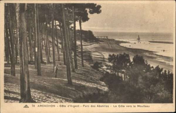 Arcachon Cote d_Argent Parc Abatilles