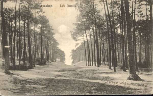 Arcachon Dunes