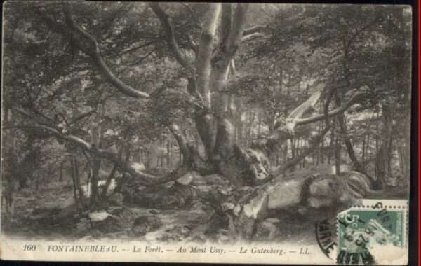 Fontainebleau Foret Mont Ussy Gutenberg