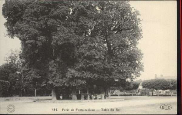 Fontainebleau Foret Table Roi