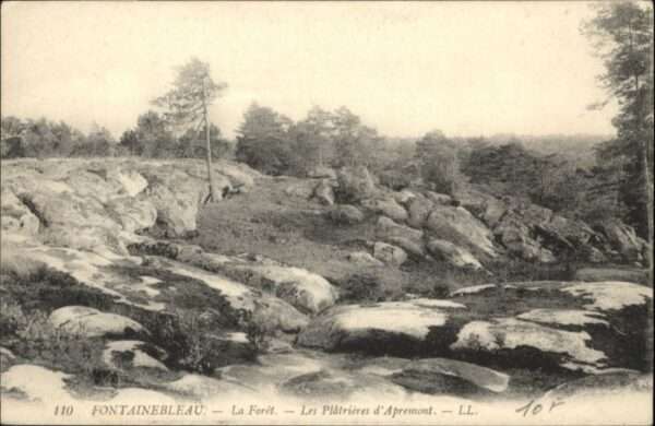 Fontainebleau Foret Platrieres Apremont