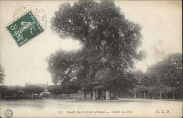 Fontainebleau Foret Table Roi