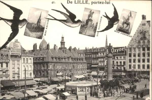 Lille Nord Lille Schwalbe