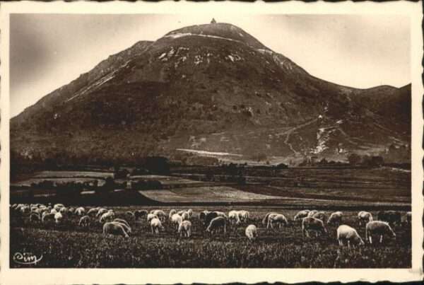 Puy-de-Dome Paturage