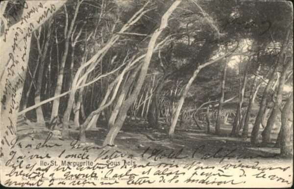 Saint-Marguerite Ile Sous Bois
