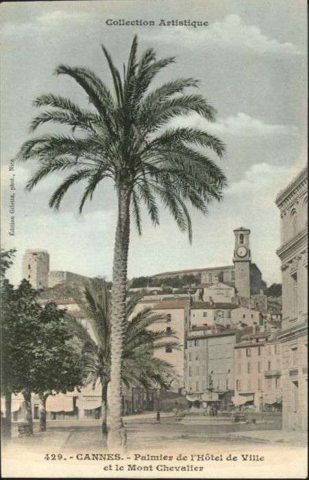 Cannes Alpes-Maritimes Cannes Mont Chevalier Hotel de Ville