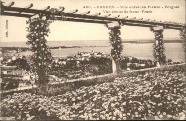 Cannes Alpes-Maritimes Cannes Fleurs Pergola