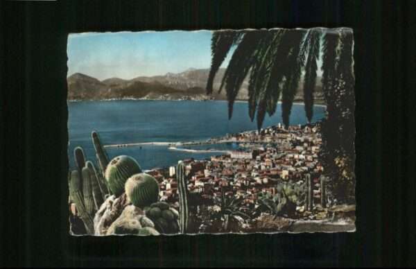 Cannes Alpes-Maritimes Cannes