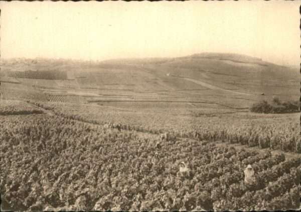 Reims Champagne Ardenne Reims Champagne Pommery & Greno