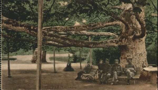 Belgrad Serbien Belgrad Belgrade Jardin Toptschider