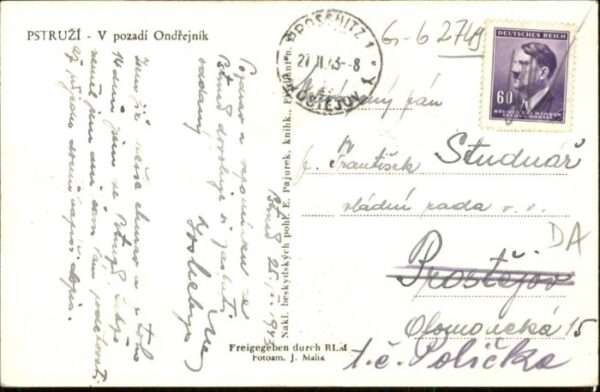 Pstruzi – Bild 2