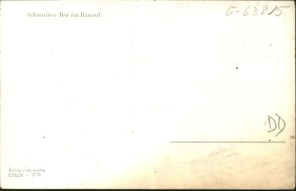 Schumilow Bor Raureif – Bild 2
