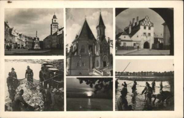 Wittingau Trebon Fischer