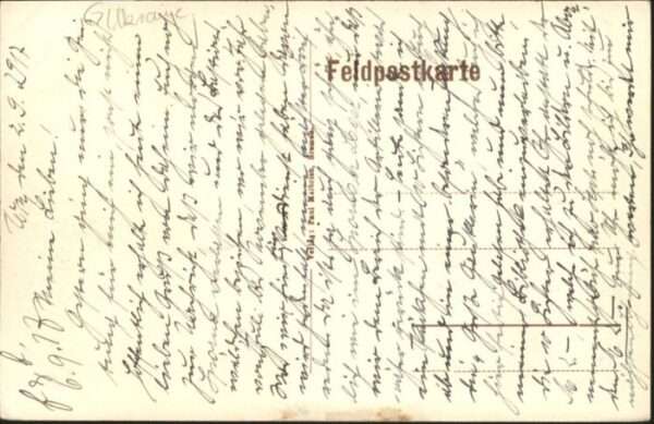 Holoby Mispelbaum – Bild 2