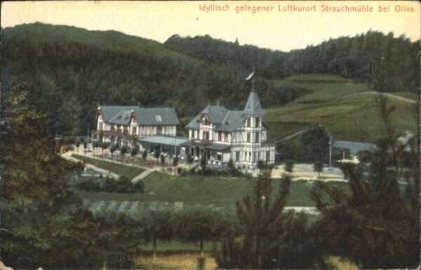Strauchmuehle liva