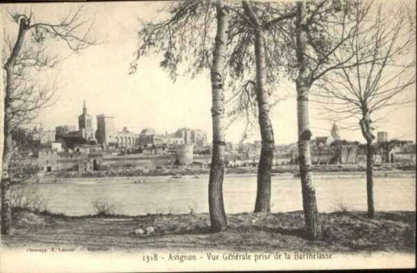 Avignon Vaucluse Avignon Barthelasse