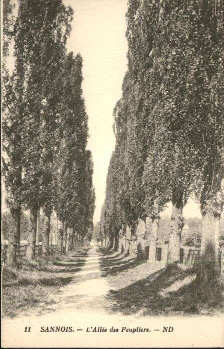 Sannois Allee Peupliers
