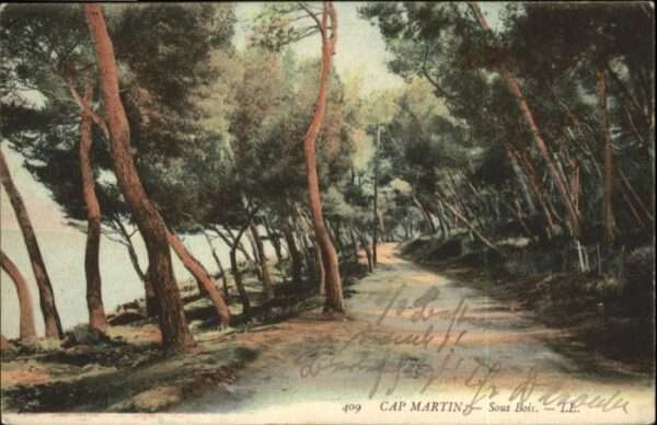 Cap Martin Sous Bois