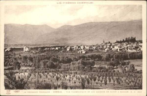 Osseja Cerdagne Francaise