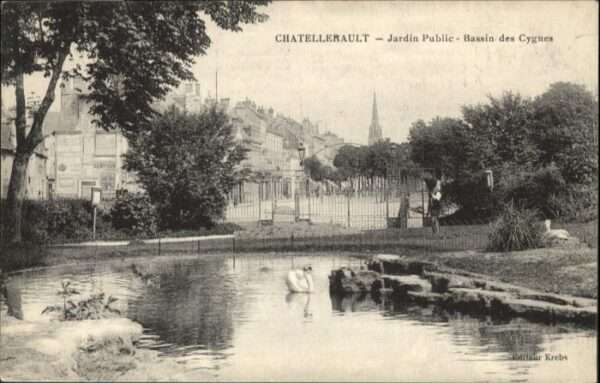 Chatellerault Jardin Public Bassin Cygnes