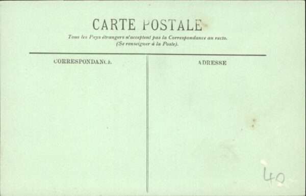 Bormes-les-Mimosas Pins – Bild 2