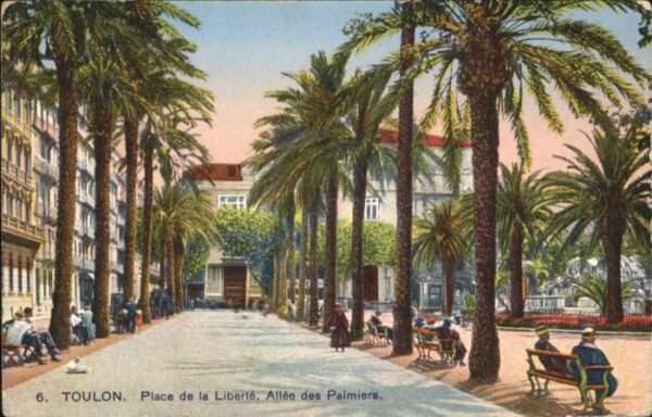 Toulon Var Toulon Place Liberte Allee Palmiers