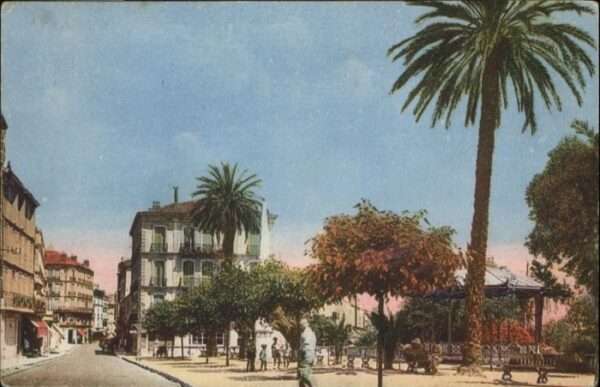 Hyeres Place Palmier Avenue Iles d_Or