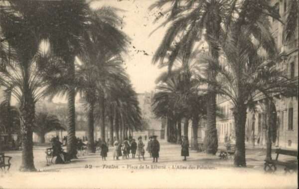 Toulon Var Toulon Place Liberte Allee Palmiers
