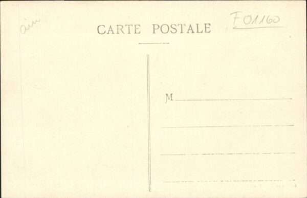 Neuville-sur-Ain Chateau Vieux Bord Suran – Bild 2