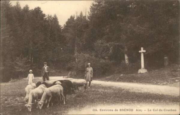 Brenod Col Cruchon Schaf