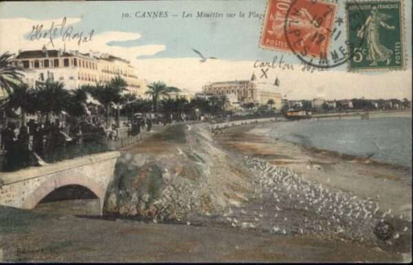Cannes Alpes-Maritimes Cannes Mouettes Plage