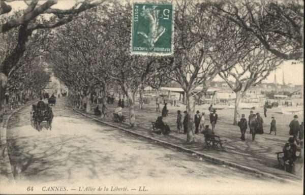 Cannes Alpes-Maritimes Cannes Allee Liberte