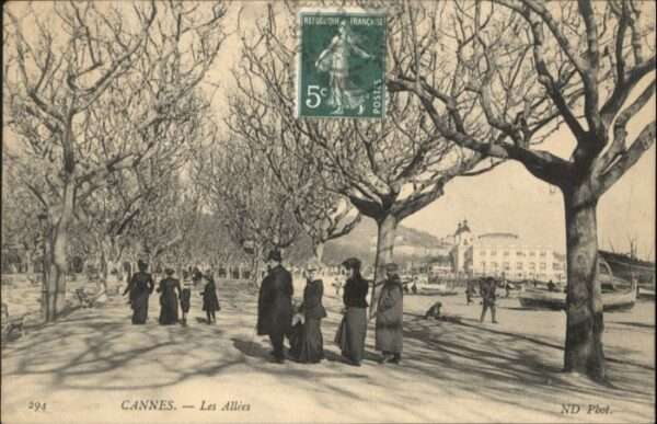 Cannes Alpes-Maritimes Cannes Allee