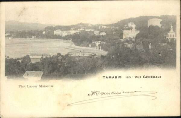 Tamaris