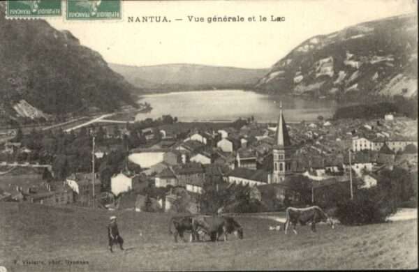 Nantua Lac Kuh