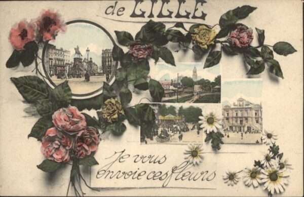 Lille Nord Lille Fleurs