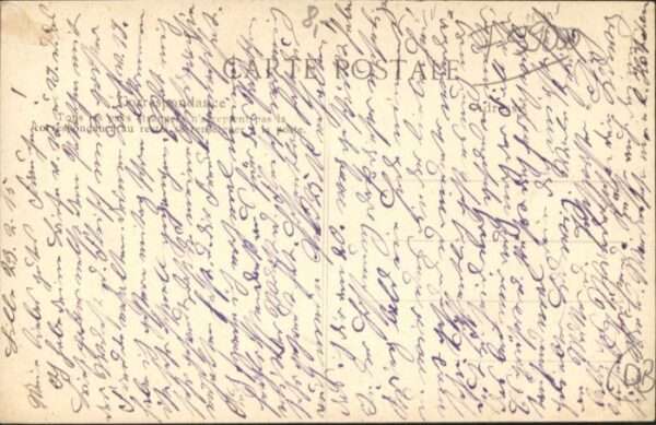 Lille Nord Lille Fleurs – Bild 2