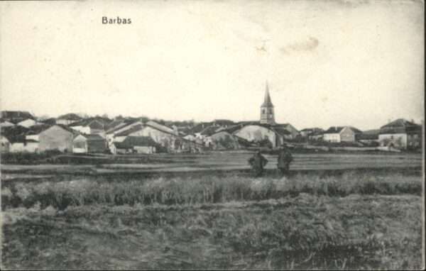 Barbas