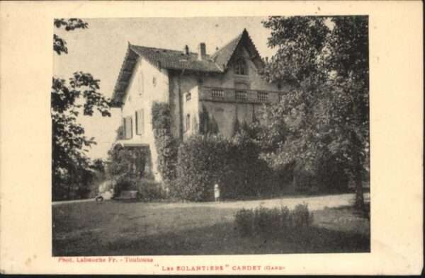 Cardet Gard Eglantiers