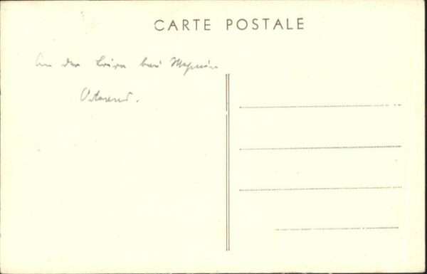 La Chapelle-Saint-Mesmin Bord Loire – Bild 2
