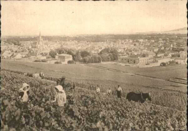 Reims Champagne Ardenne Reims Champagne Pommery Greno
