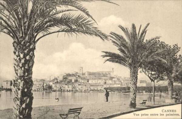 Cannes Alpes-Maritimes Cannes