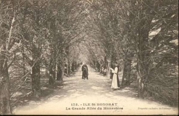Ile Saint-Honorat Alpes Maritimes Grand Allee Monastere Mönch
