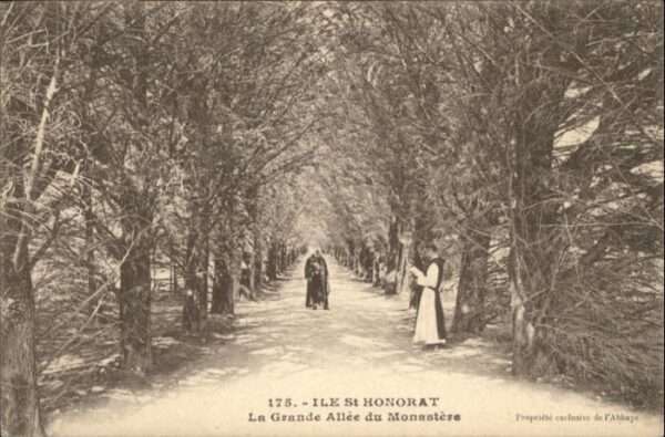Ile Saint-Honorat Alpes Maritimes Grand Allee Monastere Mönch